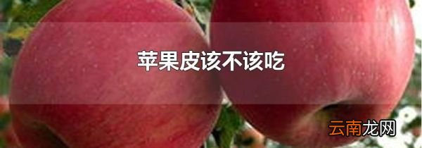 苹果皮该不该吃