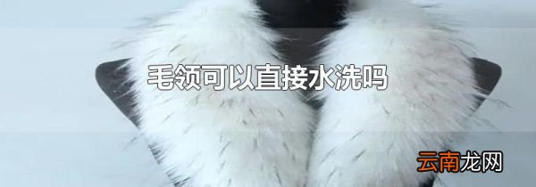 毛领可以直接水洗吗