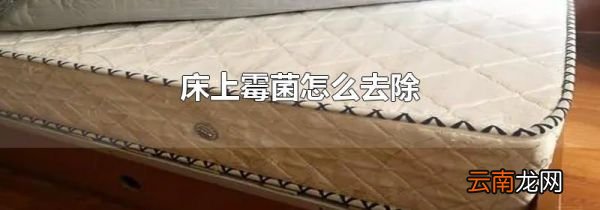 床上霉菌怎么去除