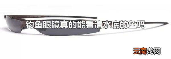 钓鱼眼镜真的能看清水底的鱼吗