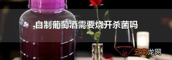 自制葡萄酒需要烧开杀菌吗