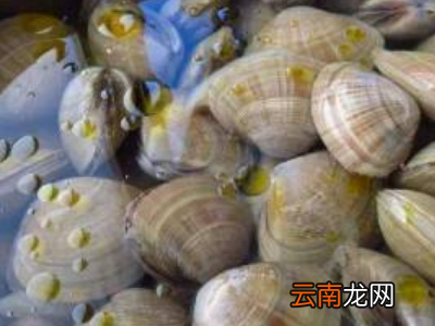 活蚬子怎么保存