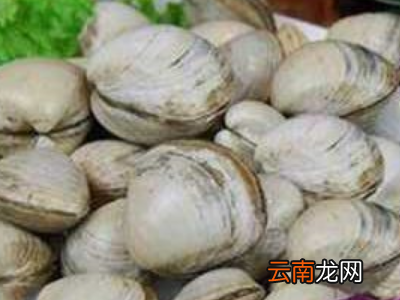 活蚬子怎么保存