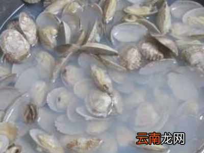 活蚬子怎么保存