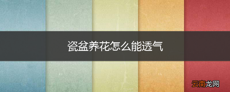 瓷盆养花怎么能透气