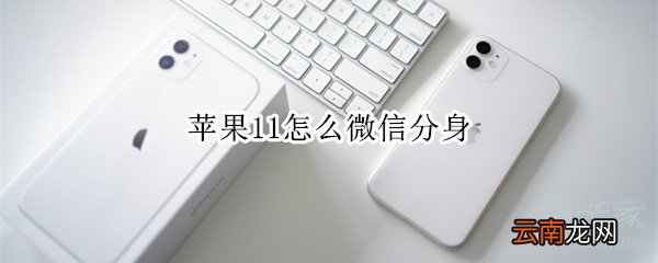 苹果11怎么微信分身