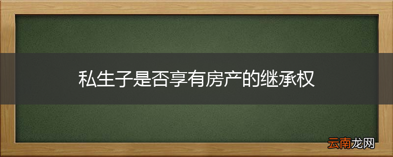 私生子是否享有房产的继承权