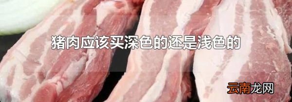 猪肉应该买深色的还是浅色的