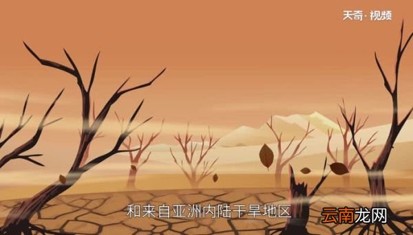 中东气候类型以什么气候为主中东气候类型主要是什么气候
