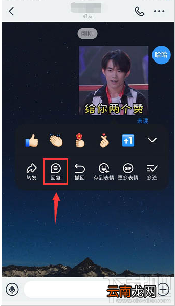 钉钉重点信息怎么回复？钉钉引用信息回复的技巧