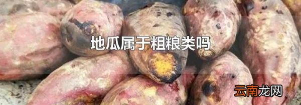 地瓜属于粗粮类吗