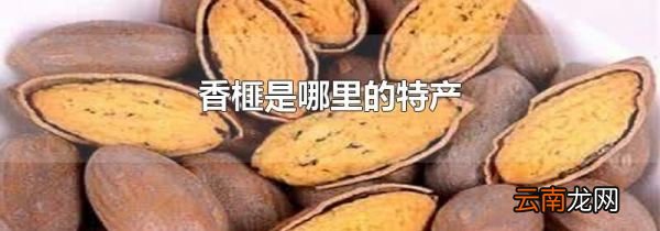 香榧是哪里的特产