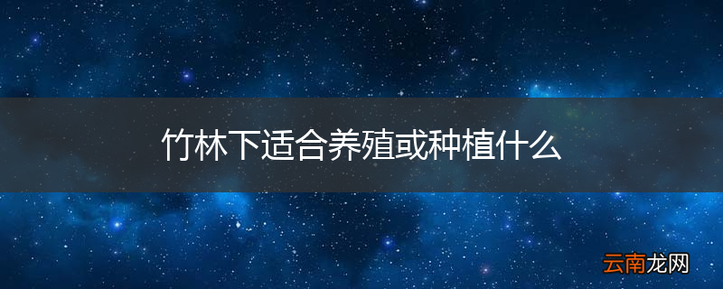 竹林下适合养殖或种植什么