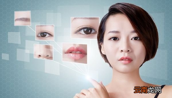 眉眼嘴鼻的故事 眉眼嘴鼻的故事是什么