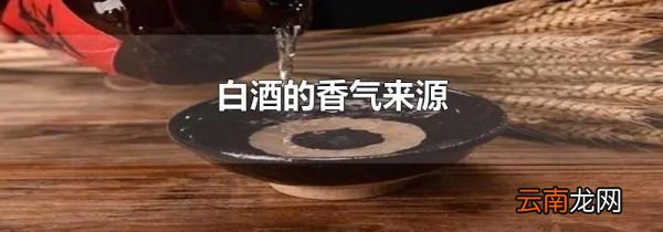 白酒的香气来源