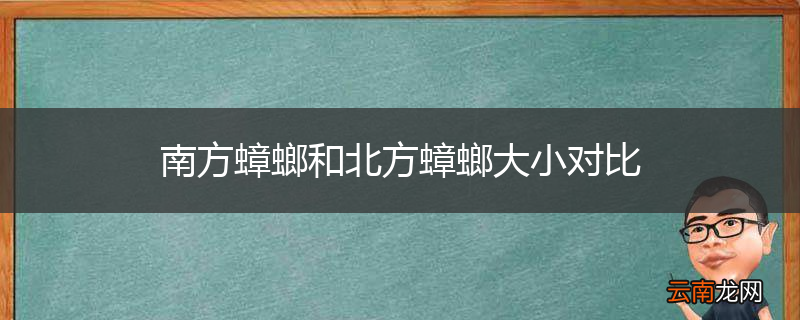 南方蟑螂和北方蟑螂大小对比