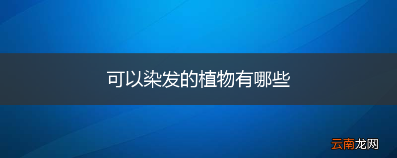 可以染发的植物有哪些