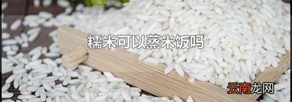 糯米可以蒸米饭吗