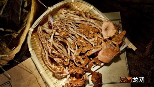 干鸡枞菌泡多久 干鸡枞菌需要泡多久