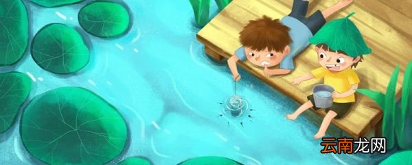 夏至有哪些活动 夏至节气有哪些传统活动