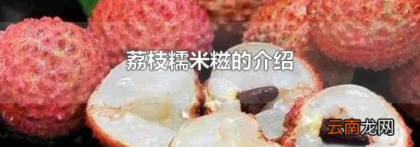 荔枝糯米糍的介绍