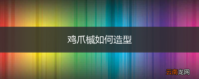 鸡爪槭如何造型