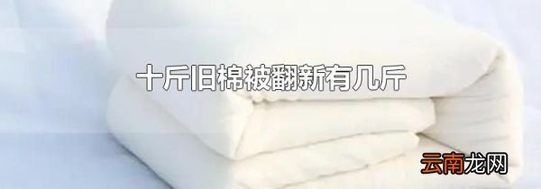 十斤旧棉被翻新有几斤