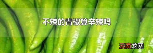 不辣的青椒算辛辣吗