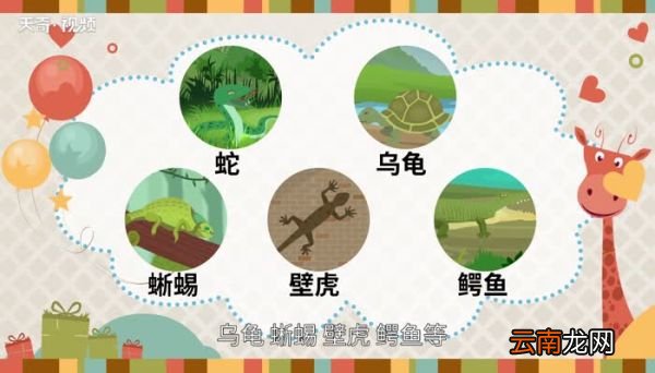 爬行动物有哪些 爬行动物有什么