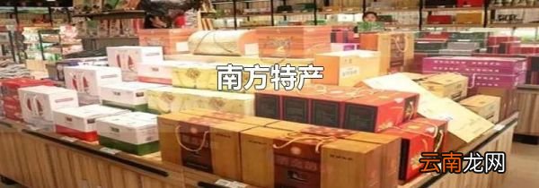 南方特产