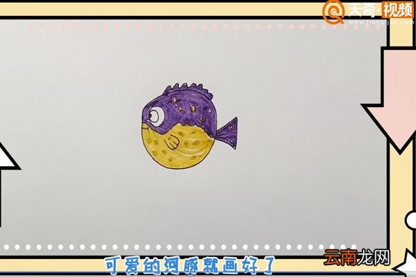 河豚简笔画