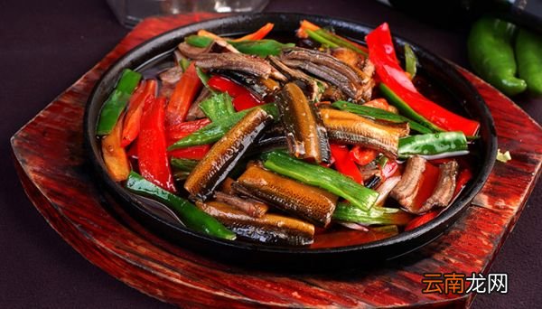 黄鳝吃什么 黄鳝吃什么东西
