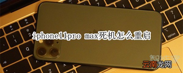 iphone11pro max死机怎么重启