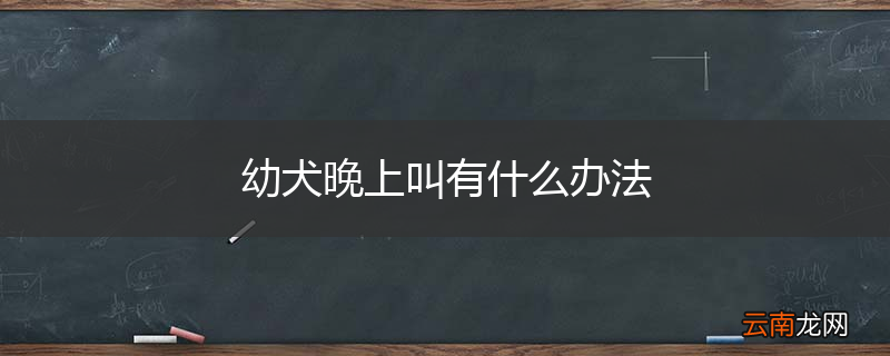 幼犬晚上叫有什么办法