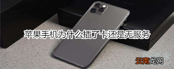 苹果手机为什么插了卡还是无服务