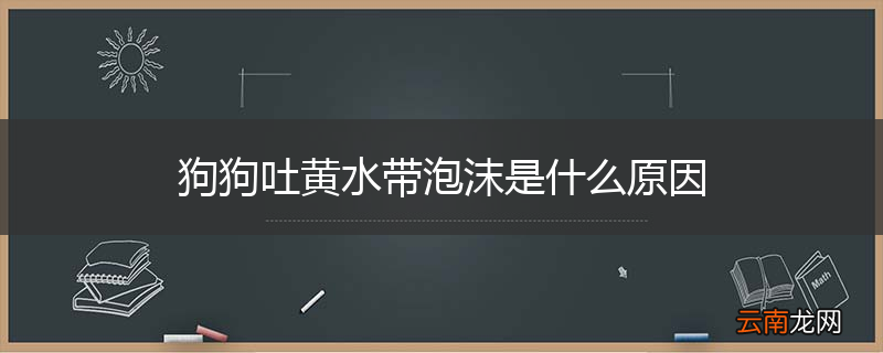 狗狗吐黄水带泡沫是什么原因