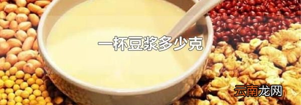 一杯豆浆多少克