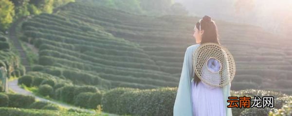 一什么的斗笠 一什么的斗笠填空词语