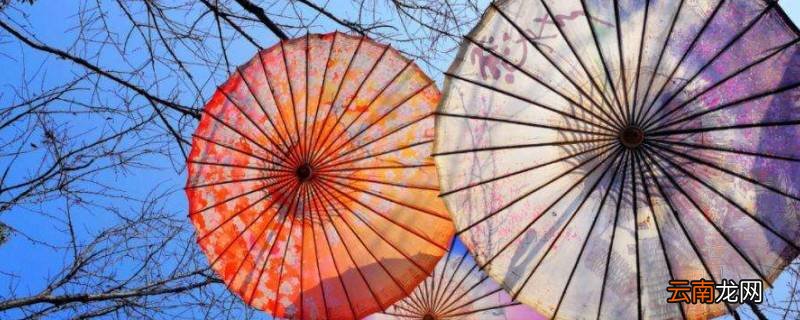 油纸是什么纸