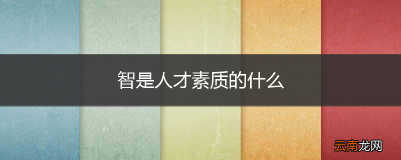智是人才素质的什么