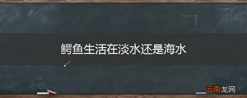 鳄鱼生活在淡水还是海水
