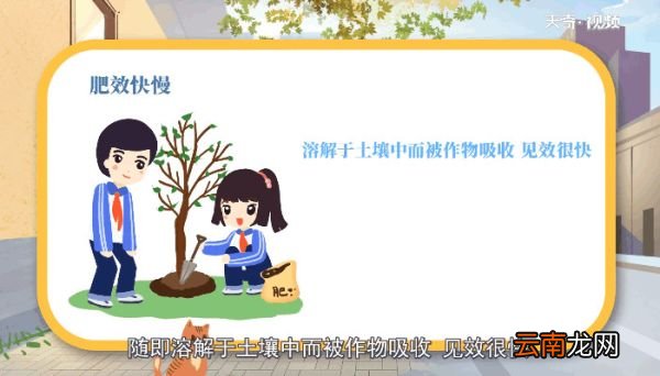 肥料的种类 肥料的种类有哪些
