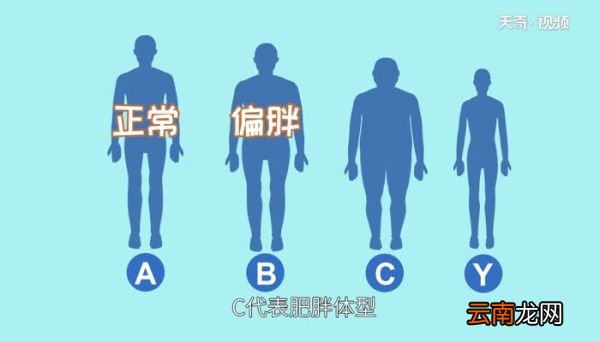 裤子32码是175还是180 32码的裤子是多大尺寸