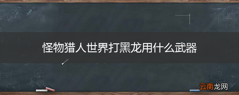 怪物猎人世界打黑龙用什么武器