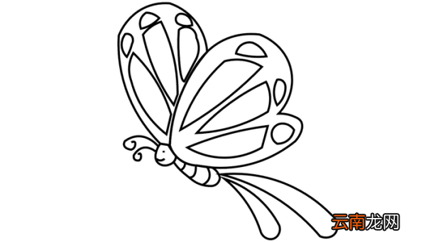画蝴蝶简笔画 画蝴蝶简笔画怎么画