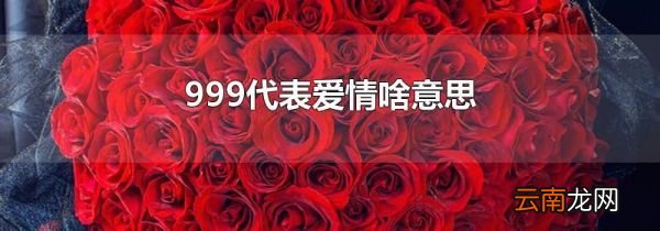 999代表爱情啥意思