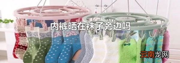 内裤晒在袜子旁边吗