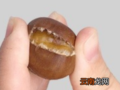 栗爪怎么用