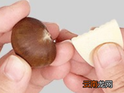 栗爪怎么用