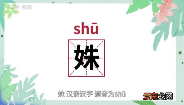姝怎么读 姝的读音